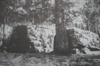 Braun's Krippe nach dem Renovieren im Jahre 1929